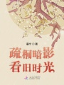 疏桐暗影看舊時光