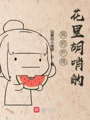 我的外掛花里胡哨的