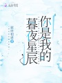 你是我的暮夜星辰