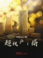 超級Pi婿