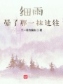 細雨暈了那一抹過往