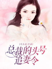 總裁的頭號追妻令