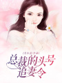 總裁的頭號追妻令