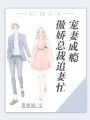 寵妻成癮：傲嬌總裁追妻忙