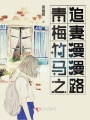 青梅竹馬之追妻漫漫路
