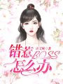 錯(cuò)惹BOSS怎么辦