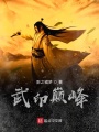 武印巔峰
