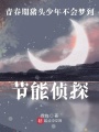 青春期豬頭少年不會夢到節(jié)能偵探