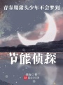 青春期豬頭少年不會(huì)夢(mèng)到節(jié)能偵探