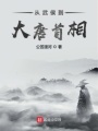 從武侯到大唐首相