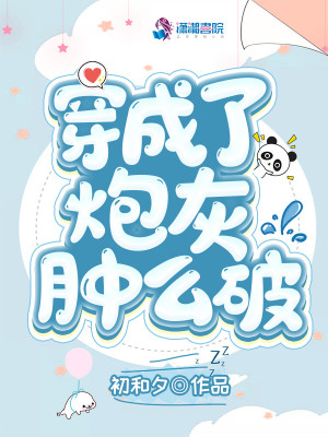 穿成了炮灰腫么破