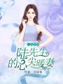 一念情深：陸先生的心尖暖妻