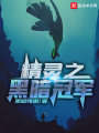 精靈之黑暗冠軍