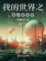我的世界有點(diǎn)坑