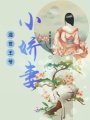 混世王爺的小嬌妻