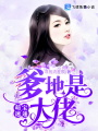 萌寶速遞，爹地是大佬
