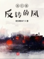 我們像反轉(zhuǎn)的風(fēng)