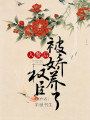 入贅后，權臣被嬌養了