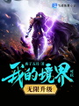 我的境界可以無(wú)限升級(jí)