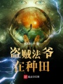 盜賊法爺在種田