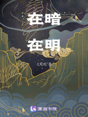 在暗在明