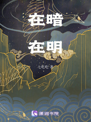 在暗在明