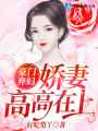 豪門棄婦，嬌妻高高在上！