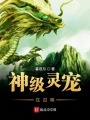 神級靈寵在召喚