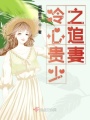 冷心貴少之追妻