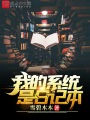 我的系統是日記本