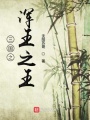 三國之渾王之王