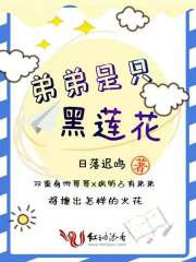 弟弟是只黑蓮花