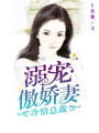 冷情總裁：溺寵傲嬌妻