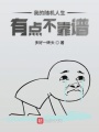 我的隨機(jī)人生有點(diǎn)不靠譜