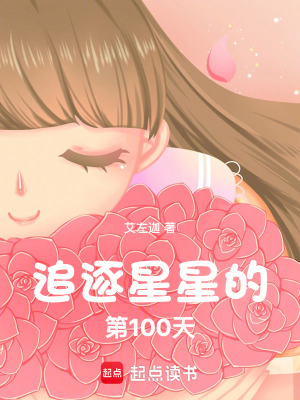 追逐星星的第100天