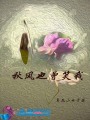 秋風也曾笑我