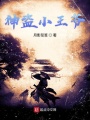 神盜小王爺