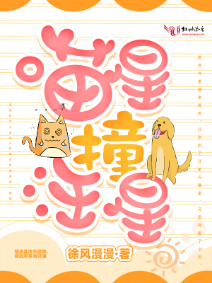喵星撞汪星