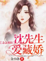 念念難防：沈先生愛藏嬌