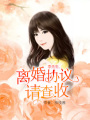 季先生，離婚協議請查收