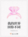 我的世界因你不同
