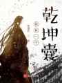 我有一個(gè)乾坤囊