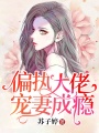 偏執大佬寵妻成癮