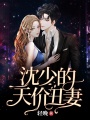 沈少的天價丑妻
