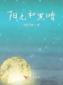 阳光和黑暗
