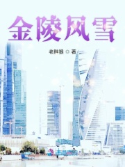 金陵風雪