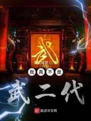 我真不是武二代