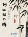何以結不解