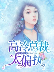 錯愛嬌妻：高冷總裁太偏執