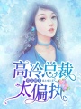 錯愛嬌妻：高冷總裁太偏執